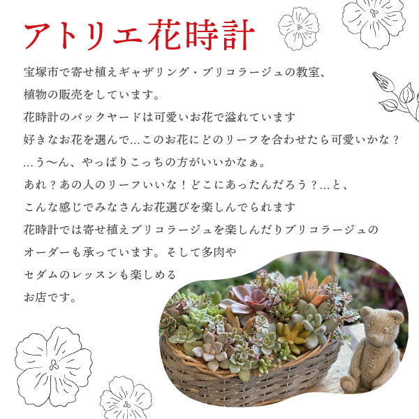 アトリエ花時計 バスケットに植える季節のブリコラージュ