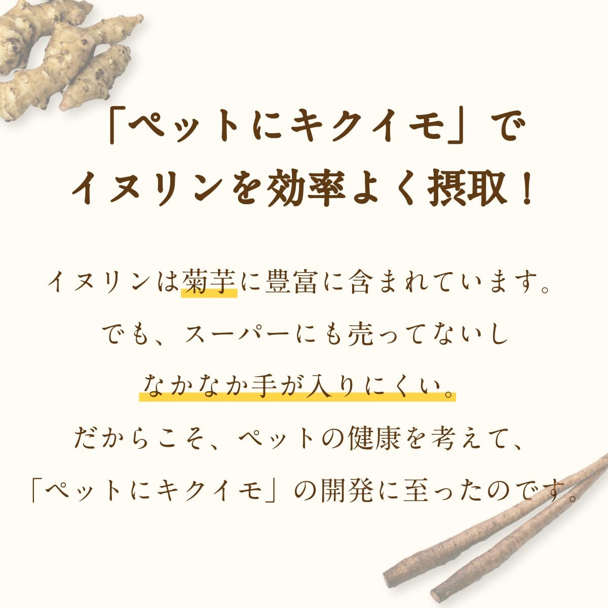 エミシア ペットにキクイモ