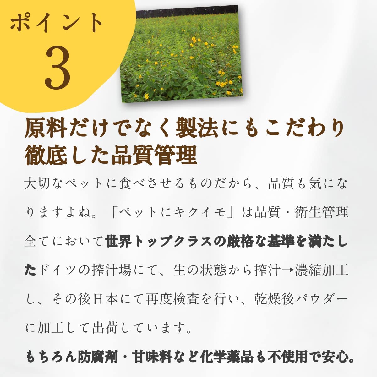 エミシア ペットにキクイモ